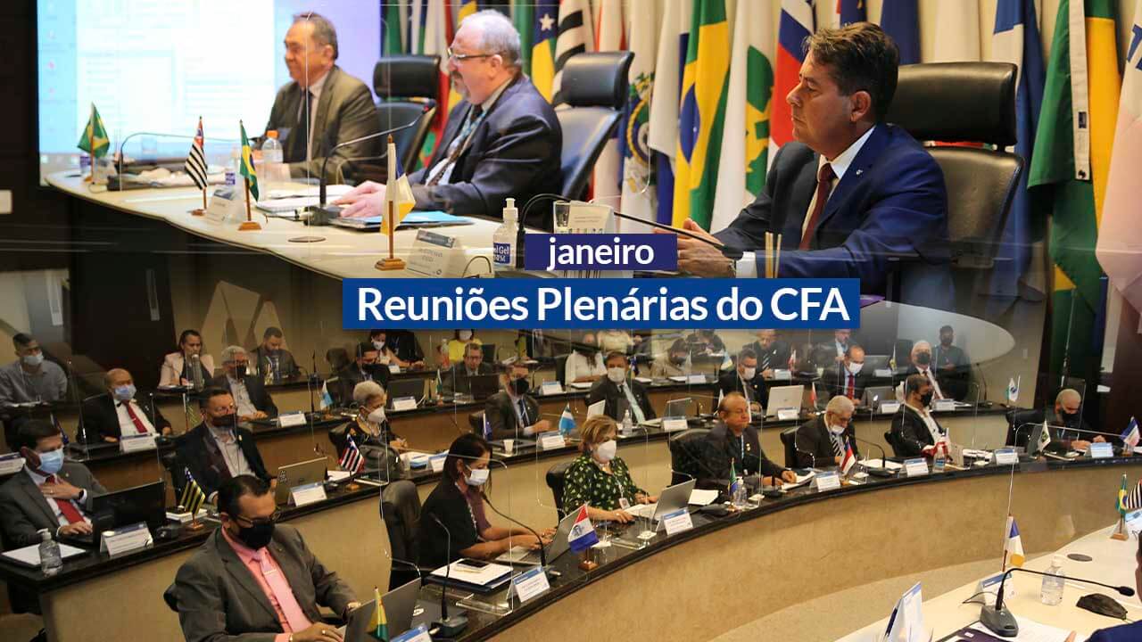 You are currently viewing Reuniões Plenárias de 2022: CFA discute ações da profissão
