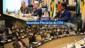 Read more about the article Reuniões Plenárias de 2022: CFA discute ações da profissão