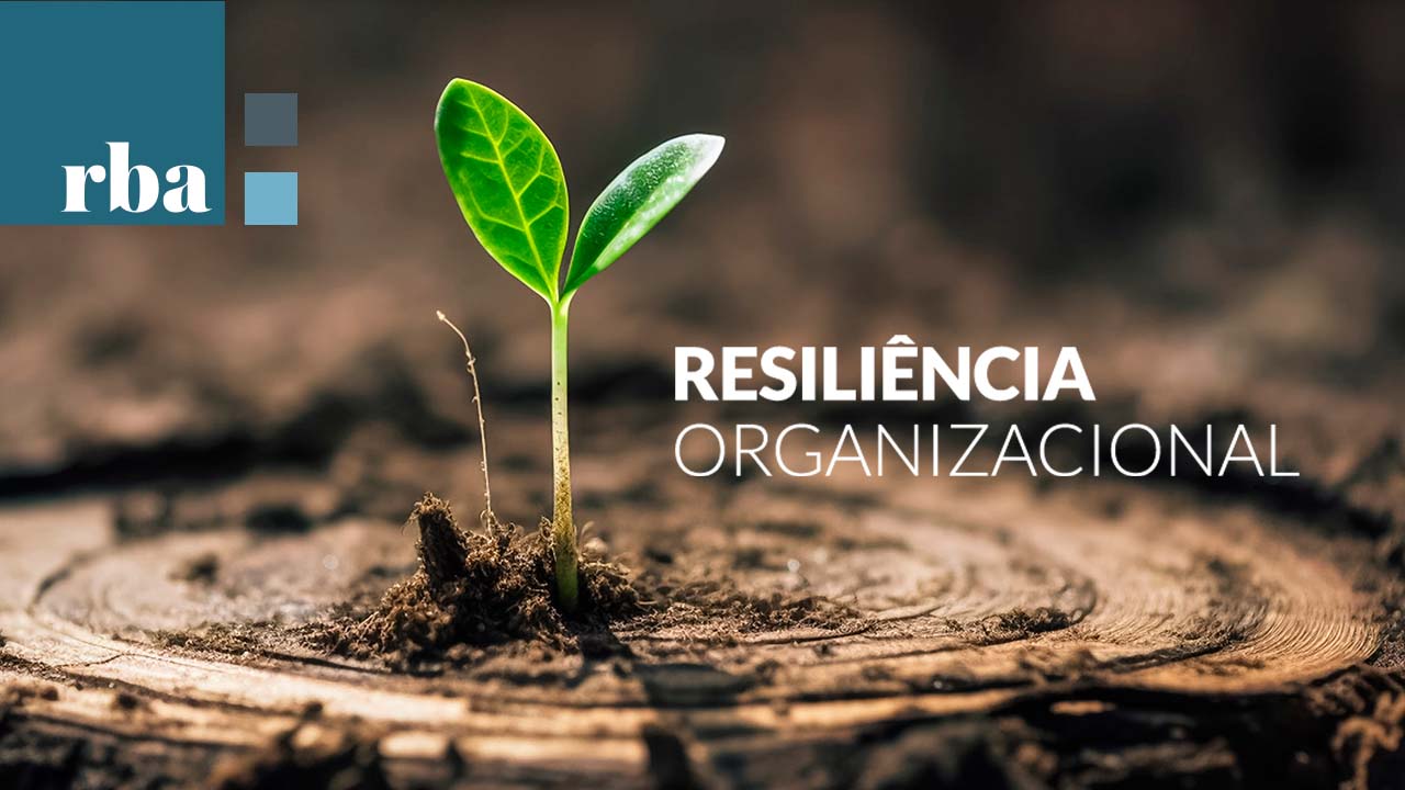 Read more about the article Resiliência Organizacional, já ouviu falar? Entenda o que é, e o que representa